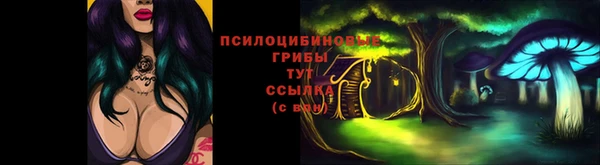MESCALINE Нязепетровск