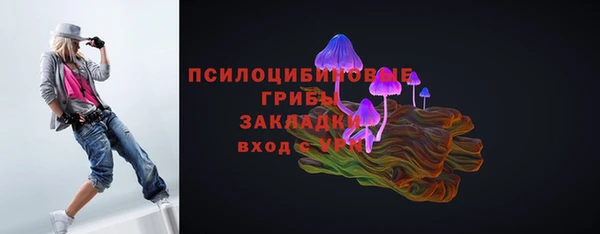 дживик Ступино