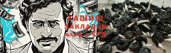 ГАЛЛЮЦИНОГЕННЫЕ ГРИБЫ Няндома