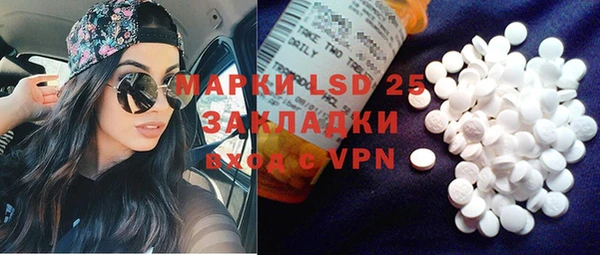 ГАЛЛЮЦИНОГЕННЫЕ ГРИБЫ Няндома
