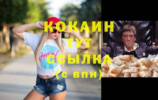 ГАЛЛЮЦИНОГЕННЫЕ ГРИБЫ Няндома