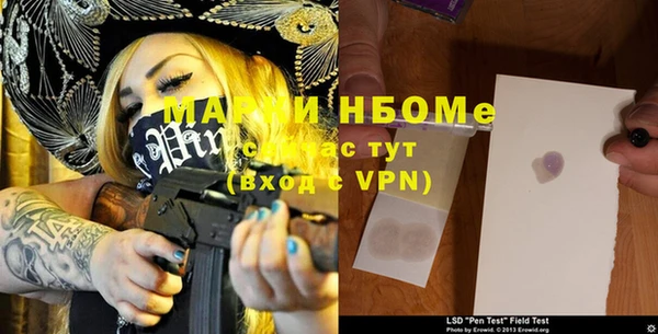ГАЛЛЮЦИНОГЕННЫЕ ГРИБЫ Няндома